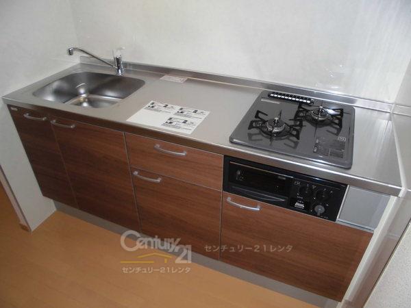 アンプルールフェール樹