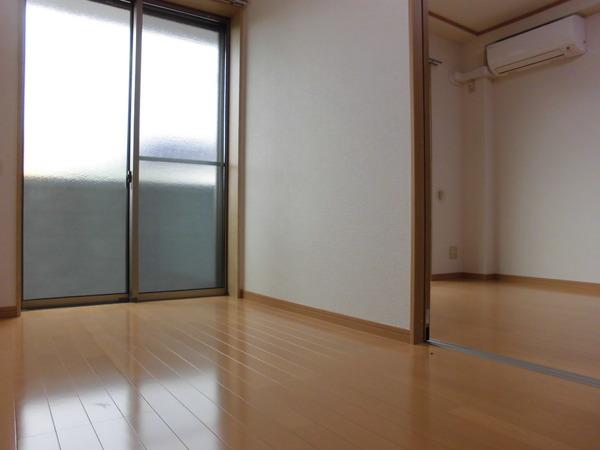 アンプルールフェール樹