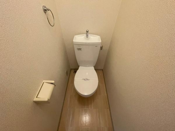 アンプルールフェール樹