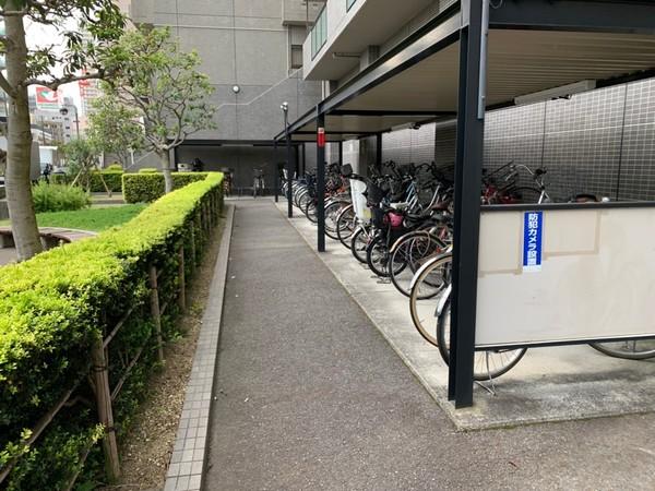 ローレルコート草津　519号