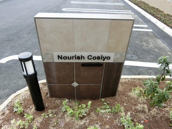 Ｎｏｕｒｉｓｈ　Ｃｏｓｉｙｏ