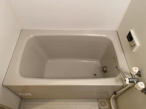 アビエンテ大薮