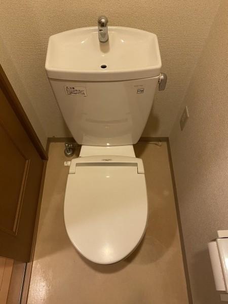 アビエンテ大薮