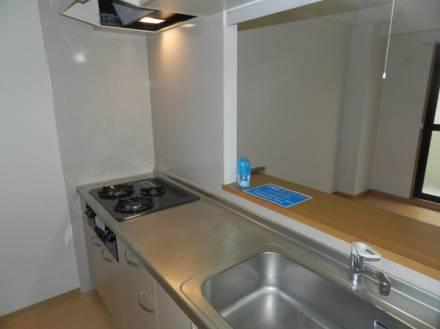 アビエンテ大薮