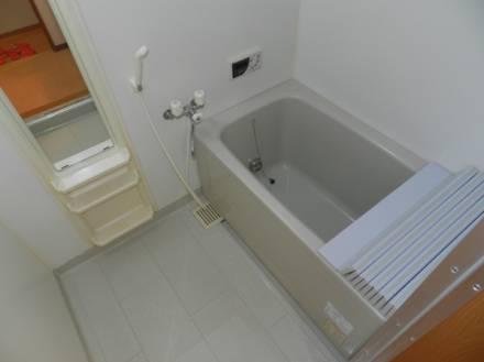 アビエンテ大薮