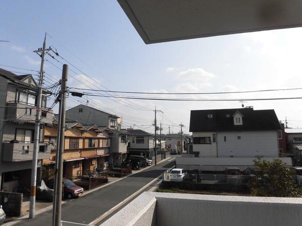 エクシーマ１９