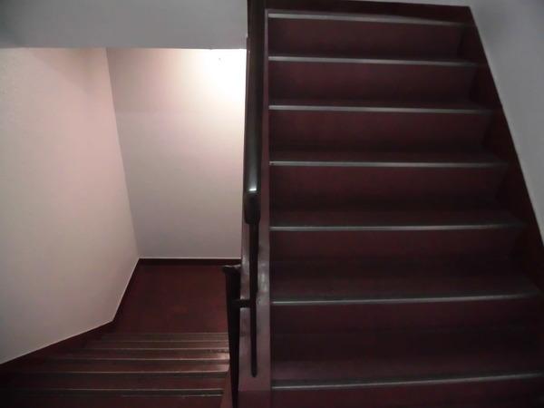 エクシーマ１９