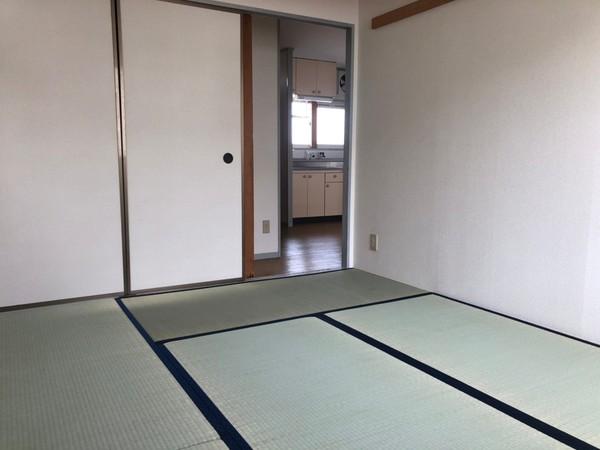 ユニメントターンドール