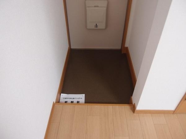 ソレイユ錦