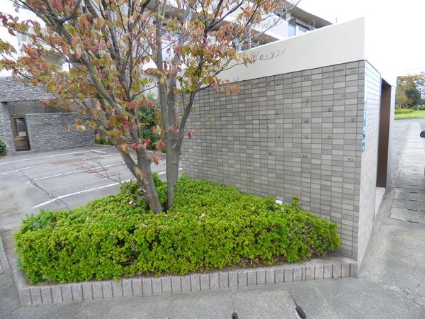 サラーム恵比寿