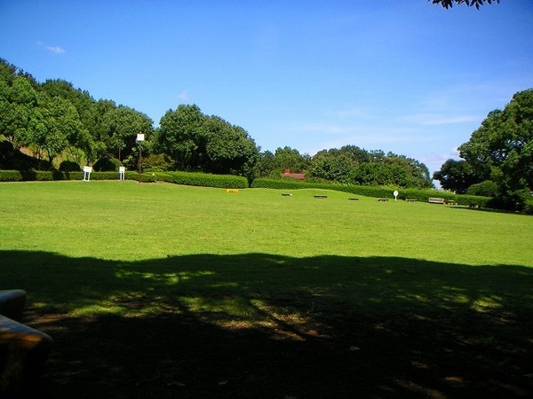 サンフローラ ジャスミン(高尾山自然公園キャンプ場)