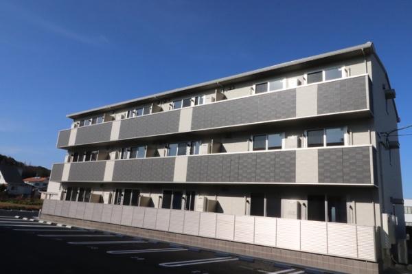 サンフローラ　ジャスミン