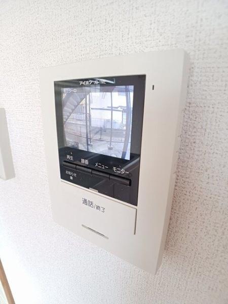 ステラ猪野