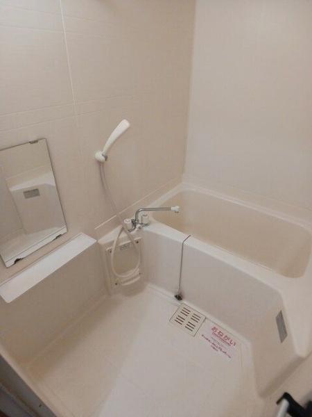 ステラ猪野