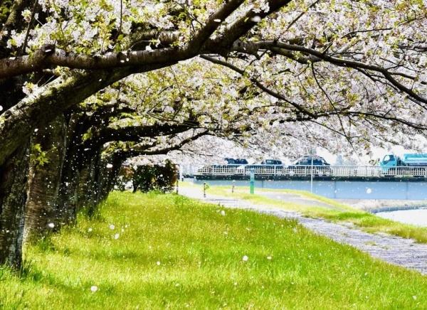 サンシャイン小野(大野川右岸緑地)