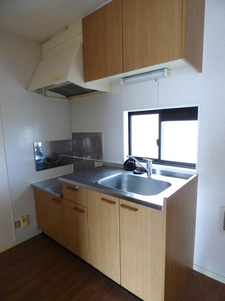 エクセレント・リブA