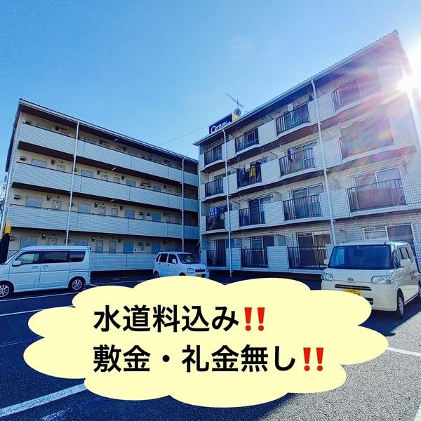 ソラリア大在