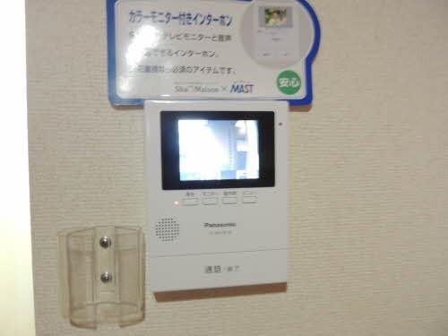 ディアスパルモS　2