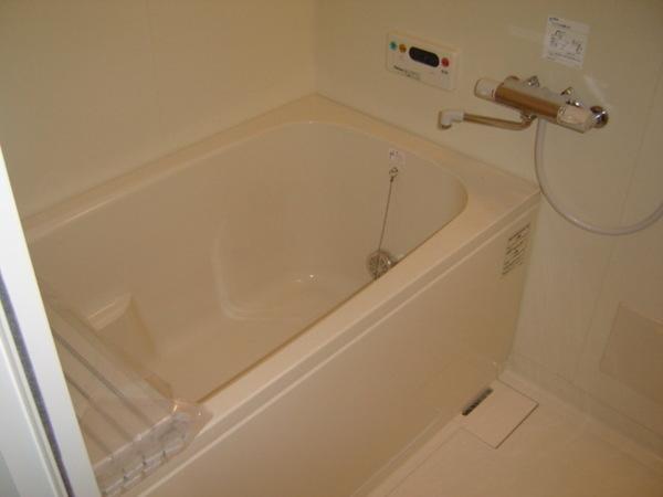 スカイウイング