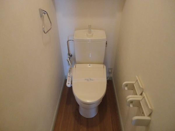 スカイウイング