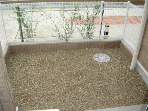 スカイウイング