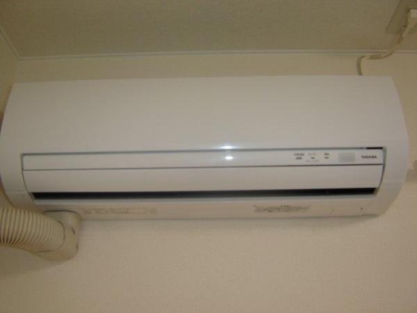 スカイウイング