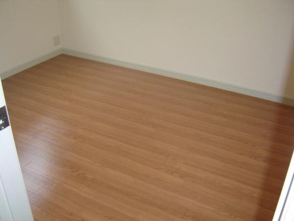 スカイウイング