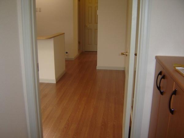 スカイウイング