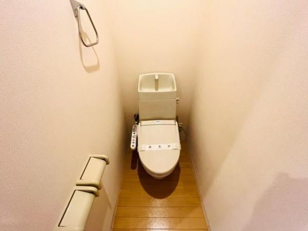 グレーシア