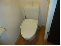 ライトニングフォレスト