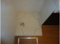 ライトニングフォレスト