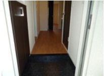 ライトニングフォレスト