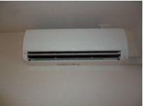 ライトニングフォレスト