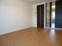 ライトニングフォレスト