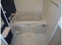 ライトニングフォレスト