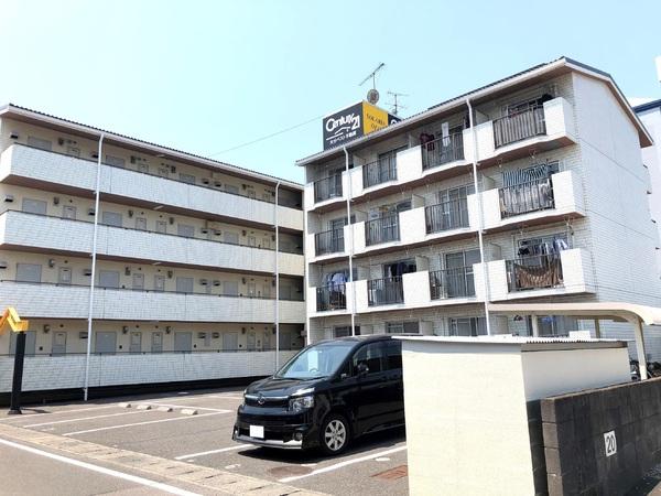 ソラリア大在