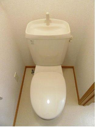 Ｓｔａｂｌｅ　Ａ