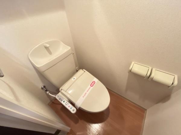 ライトニングフォレスト