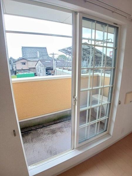 アンジュ花の木