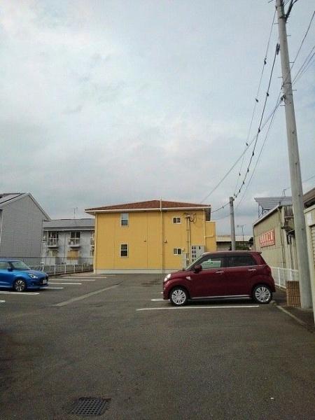 アンジュ花の木