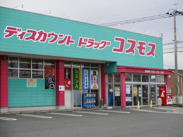 グラン・リゴレットB(ディスカウントドラッグコスモス大在店)