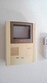 プラシードＢ