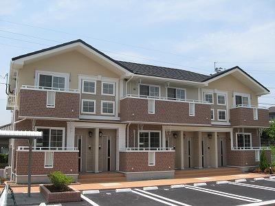 ミミヤヒル　Ｃ