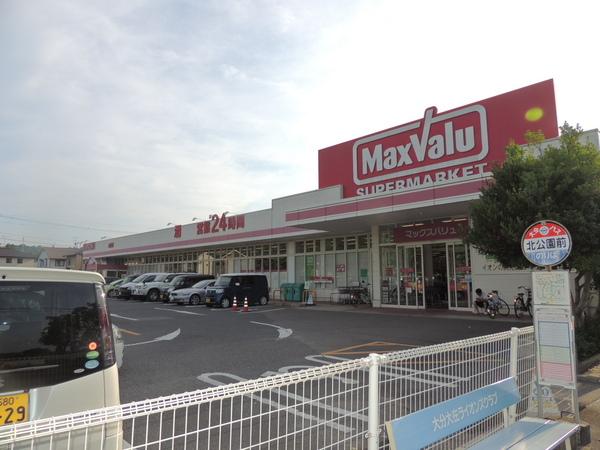 サニーパレス北横田(マックスバリュ大在店)