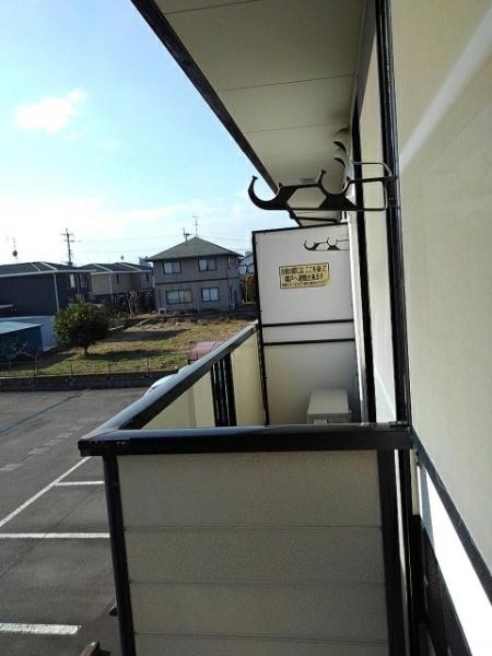 ステラ猪野