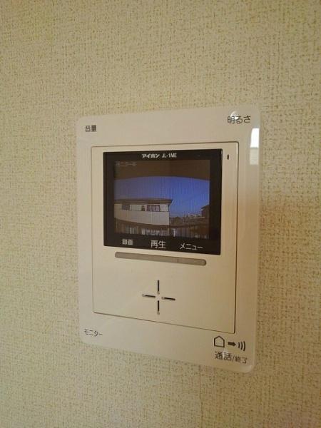 ステラ猪野