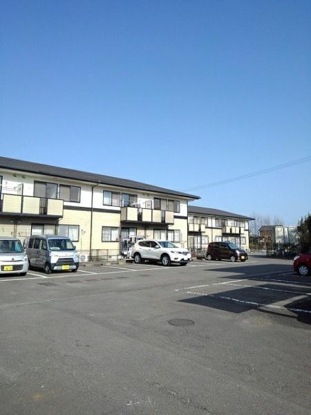 ステラ猪野