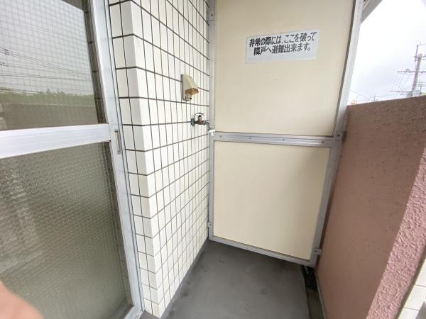 ソラリア大在