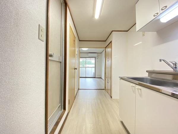ソラリア大在