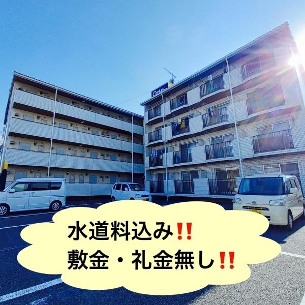 ソラリア大在